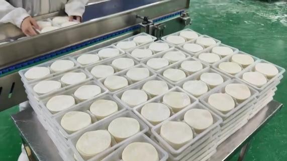 /förpackningslösning-för-färska-nudlar/